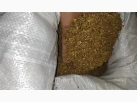 Зображення для оголошення Продам фабричный табак Мальборо, Честерфилд