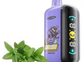 Зображення для оголошення POD система ELF BAR 23000 тяг 5%, Пурпурна Мята