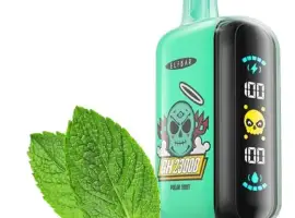 Зображення для оголошення POD система ELF BAR 5% 23000 тяг, Полярна Мята
