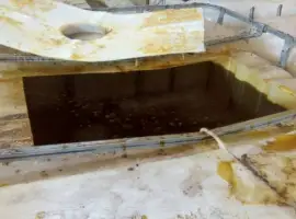 Зображення для оголошення Куплю фуз соевый