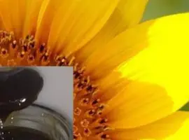 Зображення для оголошення Покупаем фуз подсолнечный соевый