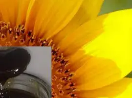 Зображення для оголошення Куплю дорого фуз подсолнечного масла