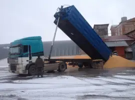 Зображення для оголошення Самосвальні зерновози. Жнива 2024 р. Агроперевозки