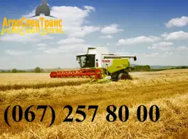 Зображення для оголошення Уборка урожая