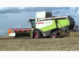 Зображення для оголошення Услуги по уборке урожая подсолнуха сои кукурузы