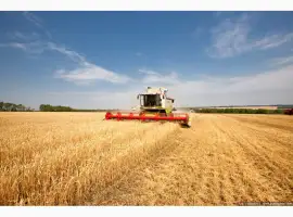 Зображення для оголошення Услуги уборки урожая по Украине комбайнами