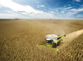 Зображення для оголошення Уборка подсолнечника соняшника кукурузы сои Кропивницкий Александрия Александровка Петрово
