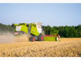 Зображення для оголошення Услуги по уборке подсолнуха кукурузы сои урожая комбайнами Донецк Луганск Харьков Полтава