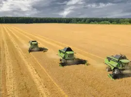 Зображення для оголошення Уборка кукурузы сои подсолнечника соняшника льна Черкассы Ватутино Городище Драбов