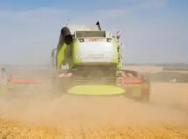 Зображення для оголошення Уборка кукурузы подсолнечника соняшника льна сои Ладыжин Винница Липовец Литин Немиров