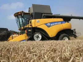 Зображення для оголошення Уборка урожая комбайном New Holland CX 8.80 2017 г.в
