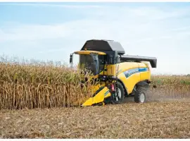 Зображення для оголошення Уборка кукурузы. Аренда комбайна New Holland. Уборка кукурузы комбайном