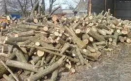 Твердопородні дрова (метровка та колоті) Договірна ціна