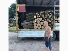 Дрова Коцюбинское