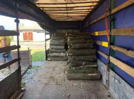 Дрова Плюты