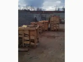 Дрова твердих порід