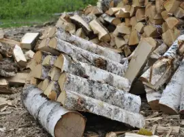 У нас можно купить дрова колотые березы или ольхи в Киеве и области