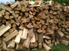 Продам дрова в місті Горохів