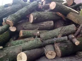 Дрова твердих порід рубані метровий кругляк купити Рожище
