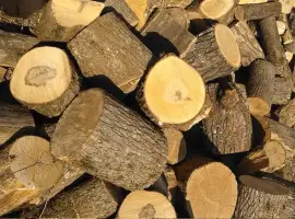 Купуйте дрова кругляк метровий | Чурки різані по 35-40см Луцьк