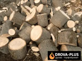 Продаю дрова метрові для опалення Рожище