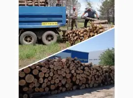 Дрова сухие колотые