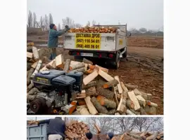 Продам дрова дуба Одесса и область