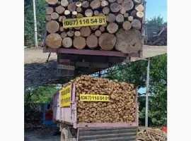 Дрова дуб
