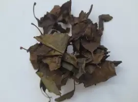 Зображення для оголошення Вишня