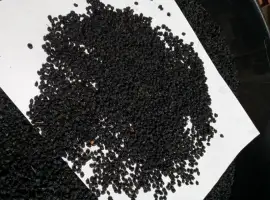 Зображення для оголошення Закупаем сухую ягоду бузины