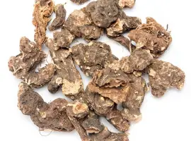 Зображення для оголошення Купим от населения корень калгана