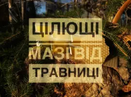 Зображення для оголошення Цілющі мазі від травниці