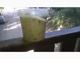 Зображення для оголошення Живица сосны Смола сосни