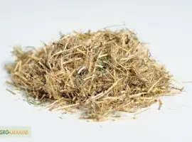 Зображення для оголошення Продам корни пырея