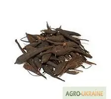 Зображення для оголошення Продам гадючник корінь