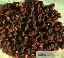Зображення для оголошення Горец змеиный