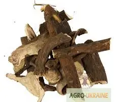 Зображення для оголошення Корень пиона