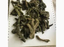Зображення для оголошення Куплю бадягу