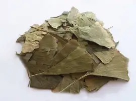 Зображення для оголошення Гинкго билоба (листья) 1 кг