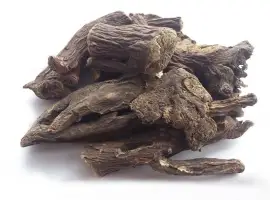 Зображення для оголошення Пион уклоняющийся (корень) 1кг