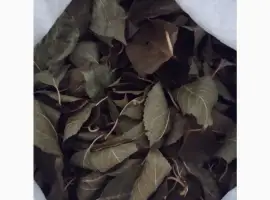 Зображення для оголошення Продам лист вишні