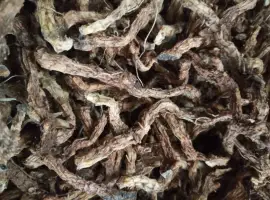 Зображення для оголошення Продам корінь купени