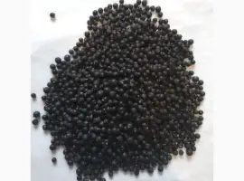 Зображення для оголошення Продам плоди можжевельника (ялівця)