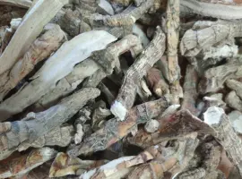 Зображення для оголошення Куплю сухе коріння аїру