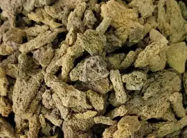 Зображення для оголошення Куплю Бадягу