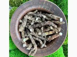 Зображення для оголошення Продаю корінь аїра