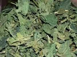 Зображення для оголошення Куплю кропиву листя сушене
