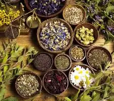 Зображення для оголошення Куплю лікарські коріння