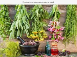 Зображення для оголошення Куплю лікарські рослини