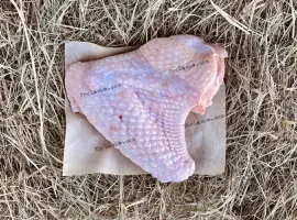 Зображення для оголошення Крило індички
